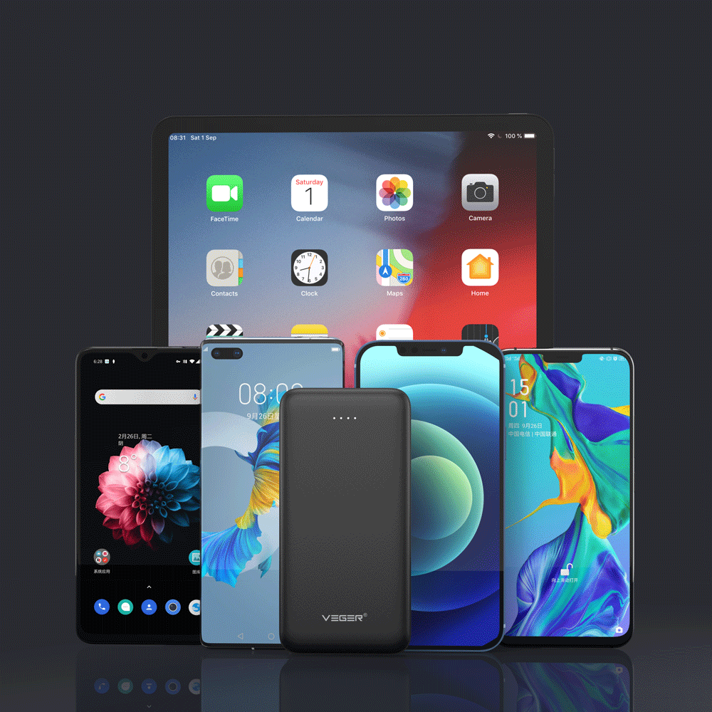 A10 Dual Port LED Indicator Powerbank 10000mAh